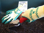 wear_gloves