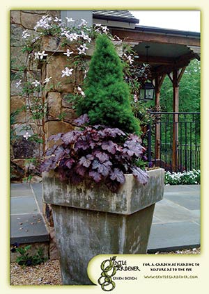 Sustainable Perennial Container Gardens endure through seasons 