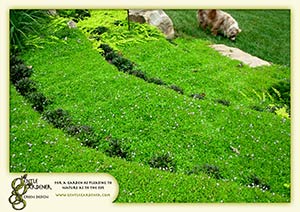 Sustainable Landscape Design reduces turfgrass mowing