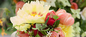 Orange Wedding Tour