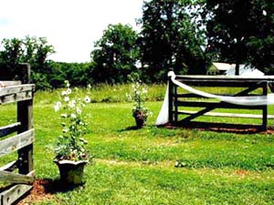 Ceremony entrance
